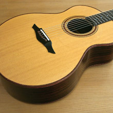 Petros AppleCreek 2010 Custom Made